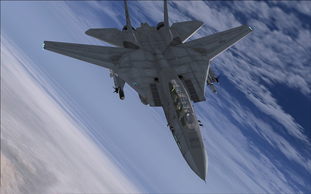 FSX American F-14 pousando em Malaga. 4135493477_c54d8d14b8_o