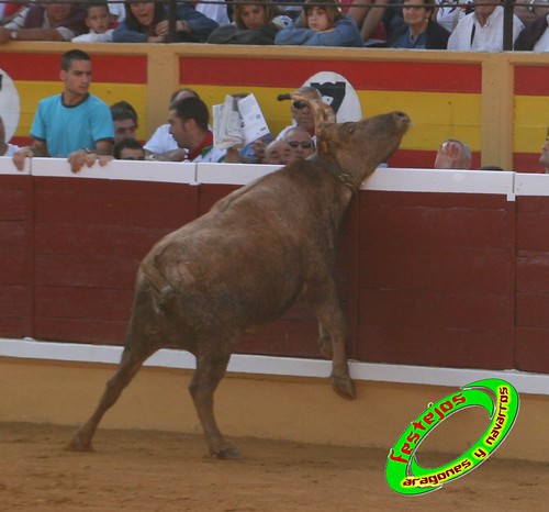 Tudela (Navarra) 26-07-2009 Ganaderia Ustarroz (Arguerdas, Navarra) 3766387828_fe01ec1117