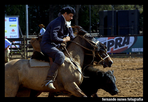 Paleteada Argentinta 2009