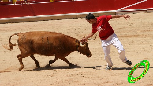 Concurso de recortadores de Pamplona con ganaderias de casta navarra 3724586342_12c28f938c