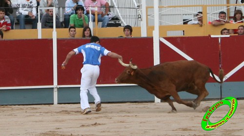 Borja (Zaragoza) 19-09-2009 Concurso de recortadores con anillas, ganaderia Hnos Ozcoz (Fuente de Ebro, Zaragoza) 3943489835_bffe70aab8