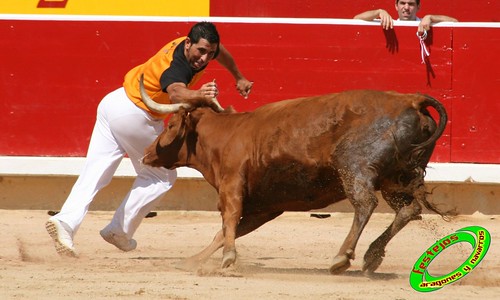 Concurso de recortadores de Pamplona con ganaderias de casta navarra 3724522840_a9f7441e7f