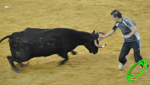 Zaragoza, jueves 15 de Octubre ganaderia  Jose Arriazu e Hijos (Ablitas, Navarra) 4032566734_55abefce73