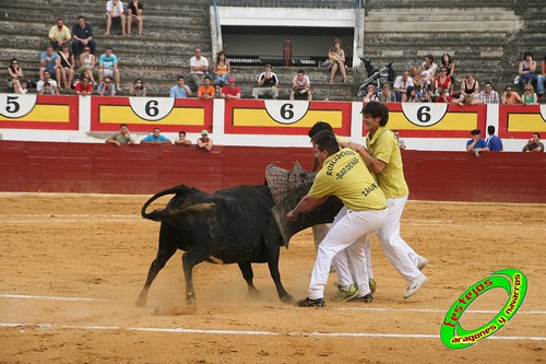 Concurso de roscaderos Ejea de los Caballeros (Zaragoza) 27-06-2009 ganaderia Pedro Dominguez (Funes, Navarra) 3679330738_b2bfa86576