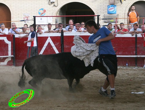 Cadreita (Navarra) 22-07-2009 Ganaderia el "Pincha" Lodosa (Navarra) 3761132317_e7b442a609