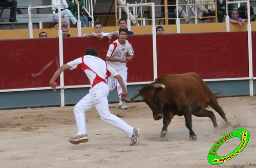 Borja (Zaragoza) 19-09-2009 Concurso de recortadores con anillas, ganaderia Hnos Ozcoz (Fuente de Ebro, Zaragoza) 3943487677_75c34fd798