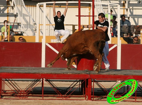 Borja (Zaragoza) desafio de ganaderias Murillo Conde (Tauste, Zaragoza) y Jose Arriazu e hijos (Ablitas, Navarra) 3965215519_a3f775ffbf