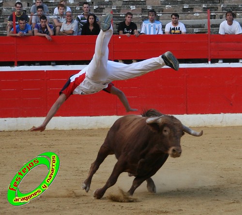 Concurso de cortes en Alfaro (La Rioja) 5-09-2009 toros de Toropasion 3906558370_1b374a76ab