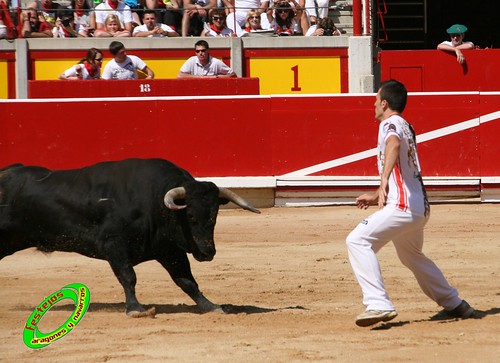 Pamplona (Navarra) 11-07-2009 toros de Marques de Albaserrada (GERENA, SEVILLA) 3720312566_be28ef7231