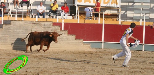 Villamayor (Zaragoza)   9-9-2009 Ganaderia Hnos Murillo (Tauste) 3919587565_cfb182d0e7