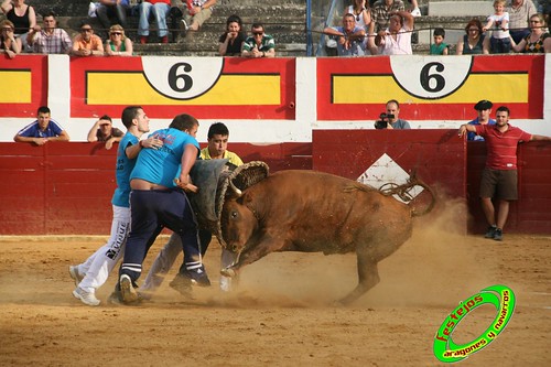 Concurso de roscaderos Ejea de los Caballeros (Zaragoza) 27-06-2009 ganaderia Pedro Dominguez (Funes, Navarra) 3681292790_a3e1dc88de