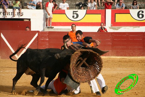 Concurso de roscaderos Ejea de los Caballeros (Zaragoza) 27-06-2009 ganaderia Pedro Dominguez (Funes, Navarra) 3681244056_5c2ecd328e