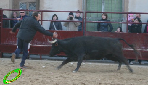 Grisen (Zaragoza) 7- 11- 2009 ganaderia Jose Luis Cuartero (Pradilla de Ebro, Zaragoza) 4095984673_8c6a16d575