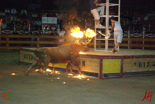 Quinto (Zaragoza) 18.7.2009 Embolado Hnos. Ozcoz y Vacas Hnos. Marcén 3742287411_fbe7f68908