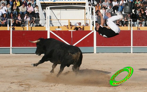 Concurso de cortes con toros de Borja  20-09-09 3948743356_0688ac53f4