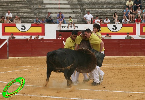 Concurso de roscaderos Ejea de los Caballeros (Zaragoza) 27-06-2009 ganaderia Pedro Dominguez (Funes, Navarra) 3678514247_dbb3d2a2ca