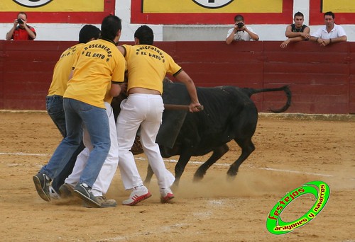 Concurso de roscaderos Ejea de los Caballeros (Zaragoza) 27-06-2009 ganaderia Pedro Dominguez (Funes, Navarra) 3680464439_421f52675f