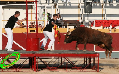 Borja (Zaragoza) desafio de ganaderias Murillo Conde (Tauste, Zaragoza) y Jose Arriazu e hijos (Ablitas, Navarra) 3965946476_57116c9bbe