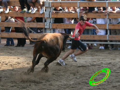 Ribaforada (Navarra)  25-08-2009 ganaderia Santos Zapateria (Valtierra) 3861823169_c3bd5c253e