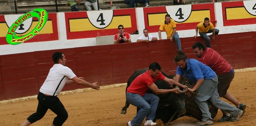 Concurso de roscaderos Ejea de los Caballeros (Zaragoza) 27-06-2009 ganaderia Pedro Dominguez (Funes, Navarra) 3679679630_b9ce611f98