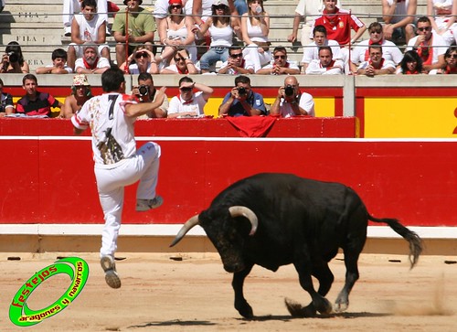 Pamplona (Navarra) 11-07-2009 toros de Marques de Albaserrada (GERENA, SEVILLA) 3720303552_bcd2f42e9c