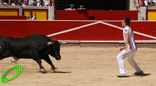 Pamplona (Navarra) 11-07-2009 toros de Marques de Albaserrada (GERENA, SEVILLA) 3720417268_95cf751995