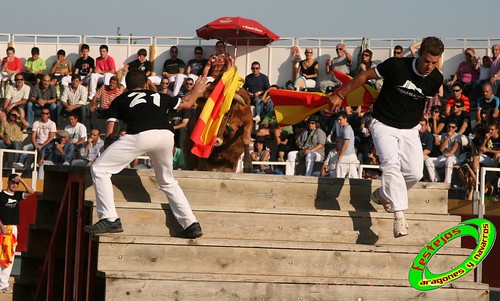 Borja (Zaragoza) desafio de ganaderias Murillo Conde (Tauste, Zaragoza) y Jose Arriazu e hijos (Ablitas, Navarra) 3965902524_fc34b7ab29