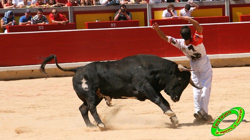 Pamplona (Navarra) 11-07-2009 toros de Marques de Albaserrada (GERENA, SEVILLA) 3720410616_33bdb211f4