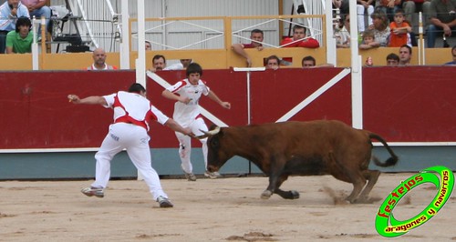 Borja (Zaragoza) 19-09-2009 Concurso de recortadores con anillas, ganaderia Hnos Ozcoz (Fuente de Ebro, Zaragoza) 3944266186_7dc98fd64f