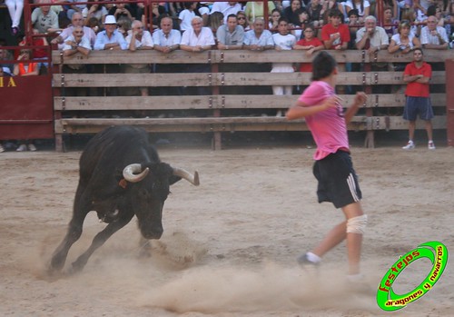 Mallen (Zaragoza) 8-09-2009 ganaderia Hnos. Vela (Mallen) 3906736136_39f4f3227a