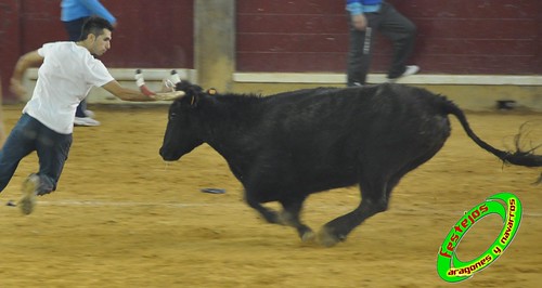 Zaragoza, jueves 15 de Octubre ganaderia  Jose Arriazu e Hijos (Ablitas, Navarra) 4032537682_d91f1f0fba