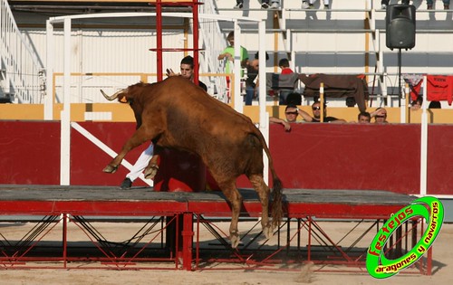 Borja (Zaragoza) desafio de ganaderias Murillo Conde (Tauste, Zaragoza) y Jose Arriazu e hijos (Ablitas, Navarra) 3965132113_33e8b06752