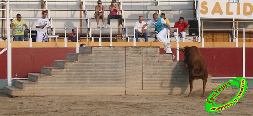 Villamayor (Zaragoza)   9-9-2009 Ganaderia Hnos Murillo (Tauste) 3920389024_13b8609144