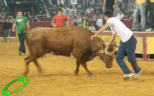 Zaragoza, Sábado 10 de Octubre ganaderia Maylin de Luna (Zaragoza) 3998865330_961652ab14