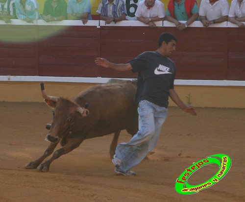 Tudela (Navarra) 26-07-2009 Ganaderia Ustarroz (Arguerdas, Navarra) 3765568973_a2a047b16b