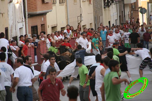 Cadreita (Navarra) 22-07-2009 Ganaderia el "Pincha" Lodosa (Navarra) 3762101258_ab0c6b59d1