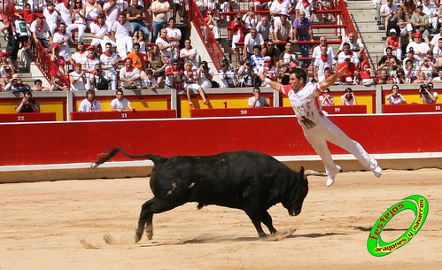 Pamplona (Navarra) 11-07-2009 toros de Marques de Albaserrada (GERENA, SEVILLA) 3719505999_0403f91438