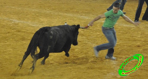 Zaragoza, jueves 15 de Octubre ganaderia  Jose Arriazu e Hijos (Ablitas, Navarra) 4031652079_d59fe2275c