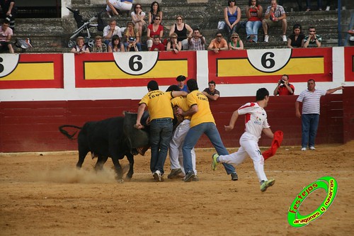 Concurso de roscaderos Ejea de los Caballeros (Zaragoza) 27-06-2009 ganaderia Pedro Dominguez (Funes, Navarra) 3681310154_54124faca0