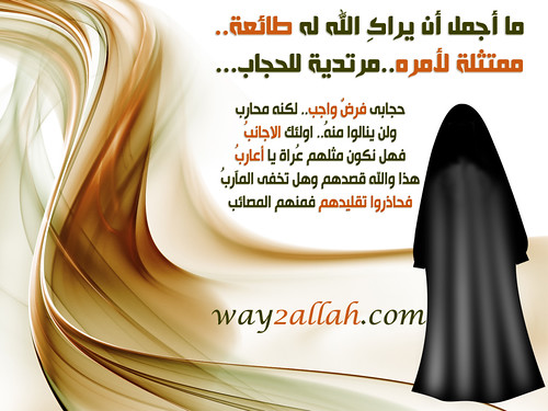 عاجـــــــــــل ...؟؟  لجميع الاعضاء  3680511167_ffbbe50969