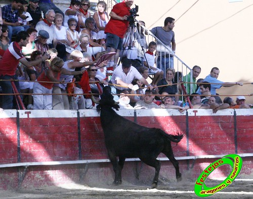 Cadreita (Navarra) 22-07-2009 Ganaderia el "Pincha" Lodosa (Navarra) 3761122291_22c0a521b8