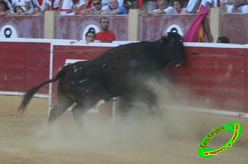 Cintruenigo (Navarra) 11-09-09 despedida de Jose Luis Pejenaute, exhicion de saltos, moto, quad y anillas, ganaderia Santos Zapateria (Valtierra, Navarra) 3926065341_f733dedd26