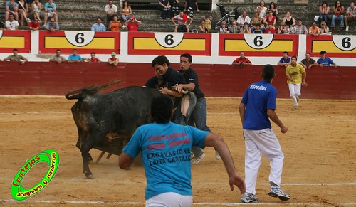 Concurso de roscaderos Ejea de los Caballeros (Zaragoza) 27-06-2009 ganaderia Pedro Dominguez (Funes, Navarra) 3679017843_0b47dc5eec