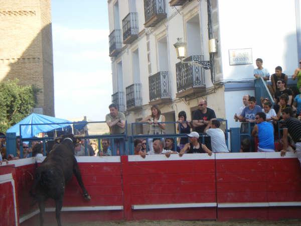 27-6-2009 en Novallas (Zaragoza) ganaderia de Murillo Conde (Tauste) 3697678342_0950233fd3_o