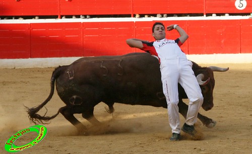 Concurso de cortes en Alfaro (La Rioja) 5-09-2009 toros de Toropasion 3906526408_fb72685f3f