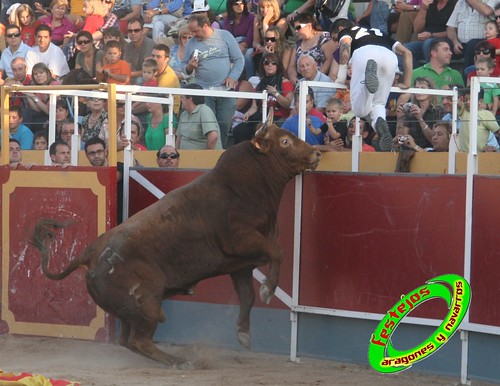 Borja (Zaragoza) desafio de ganaderias Murillo Conde (Tauste, Zaragoza) y Jose Arriazu e hijos (Ablitas, Navarra) 3965277093_f05e54da72