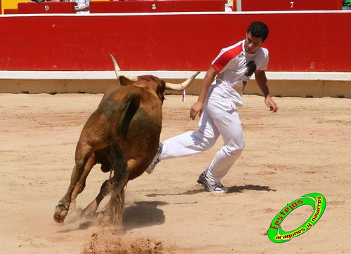 Concurso de recortadores de Pamplona con ganaderias de casta navarra 3724544054_b5b8e4d344