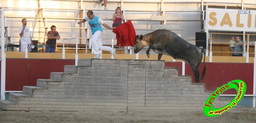 Villamayor (Zaragoza)   9-9-2009 Ganaderia Hnos Murillo (Tauste) 3921158152_d222da9666