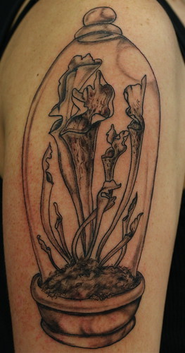 Tatuagem é arte à flor da pele! 4056789751_0bb45631b4