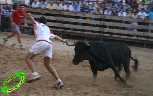 Mallen (Zaragoza) 10-09-2009 ganaderia Hnos. Vela (Mallen) 3922933203_03072e1b1a